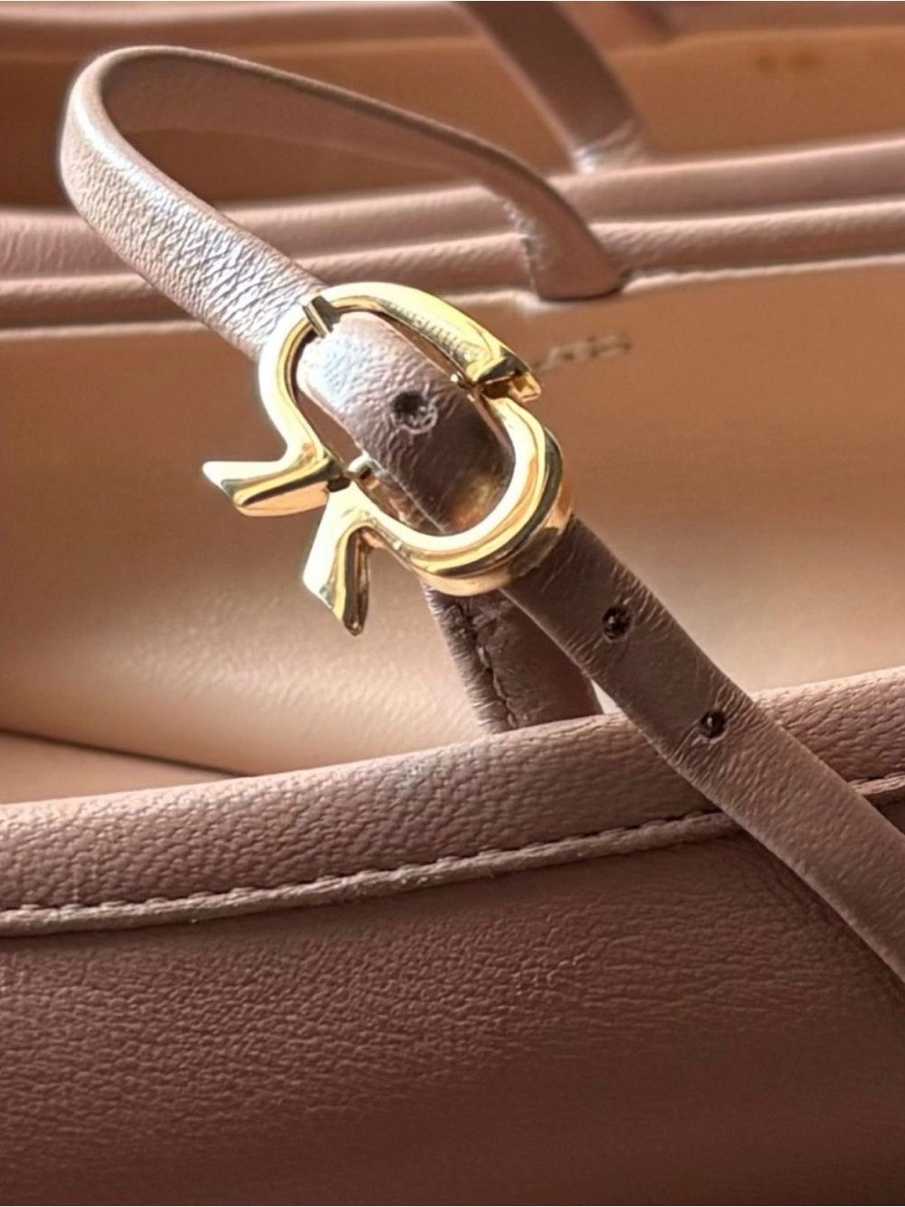 GIANVITO ROSSI Carla Ballet Flats | Beige Leather | EU 40 - Picture 6 of 6